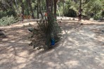 Plaka Forest Tierpark - Insel Kos foto 9