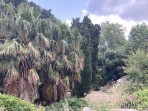 Agora (archäologische Stätte) - Insel Kos foto 9