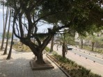 Burg Neratzia - Insel Kos foto 9