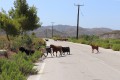 Natur Rhodos